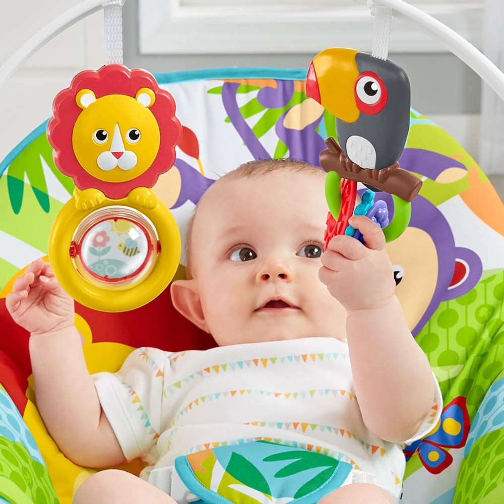 Fisher-Price Infant-to-Toddler Rocker