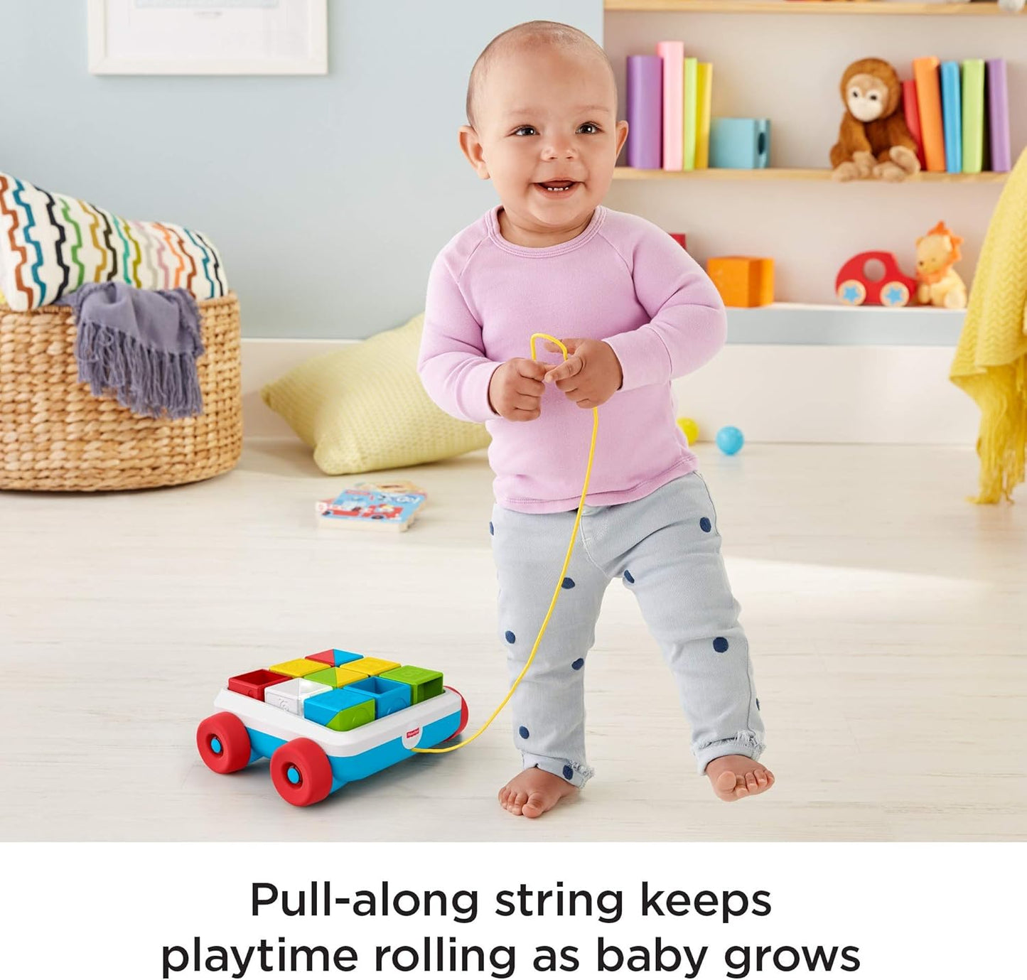Fisher-Price Pull-Along Activity Blocks
