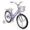 Kids Bicycle 20inches with Training Wheels - 10CCG118