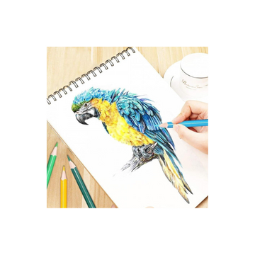 36 Colors Premium Hexagon Pencils