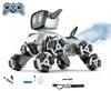 Remote Control Stunt Robot Car - XJD575-9D