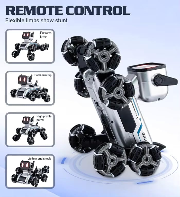 Remote Control Stunt Robot Car - XJD575-9D