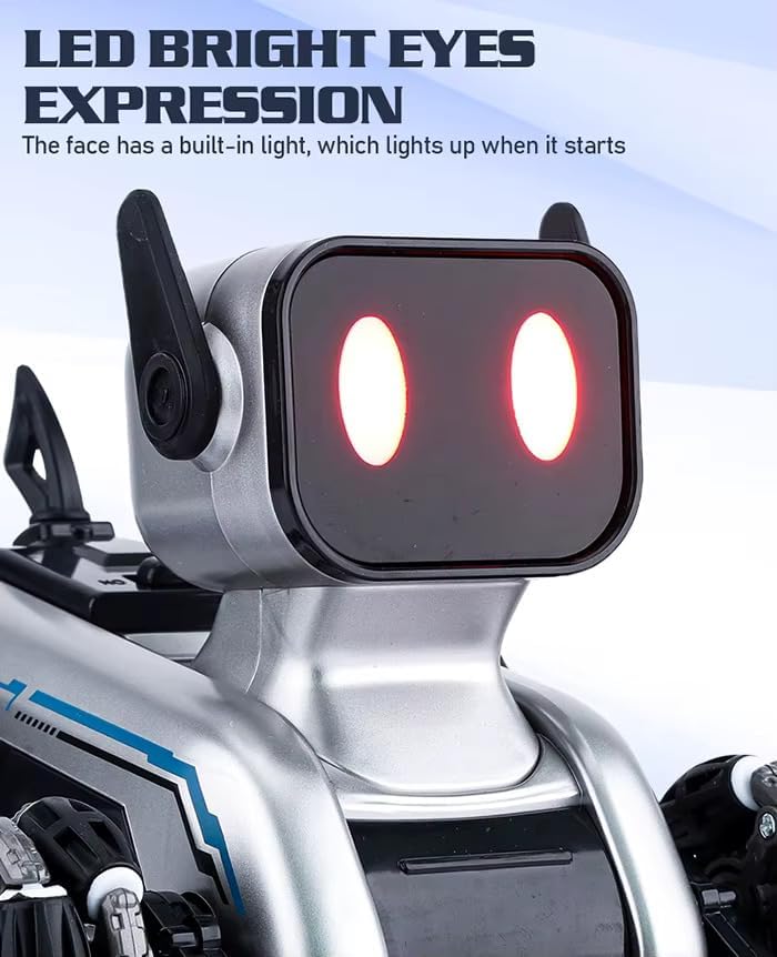 Remote Control Stunt Robot Car - XJD575-9D