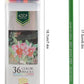 36 Colors Premium Hexagon Pencils