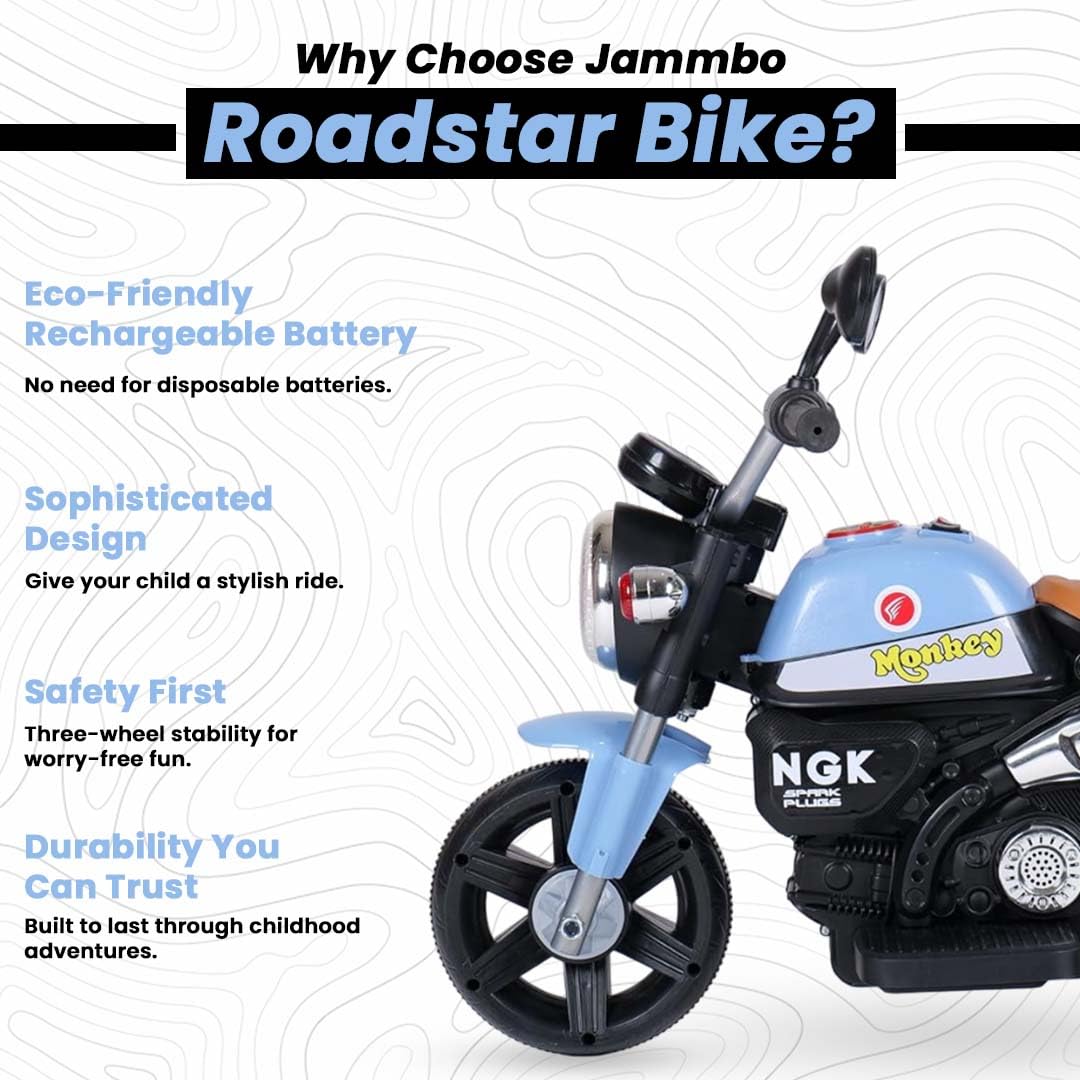 Mini Electric Bike