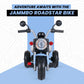 Mini Electric Bike