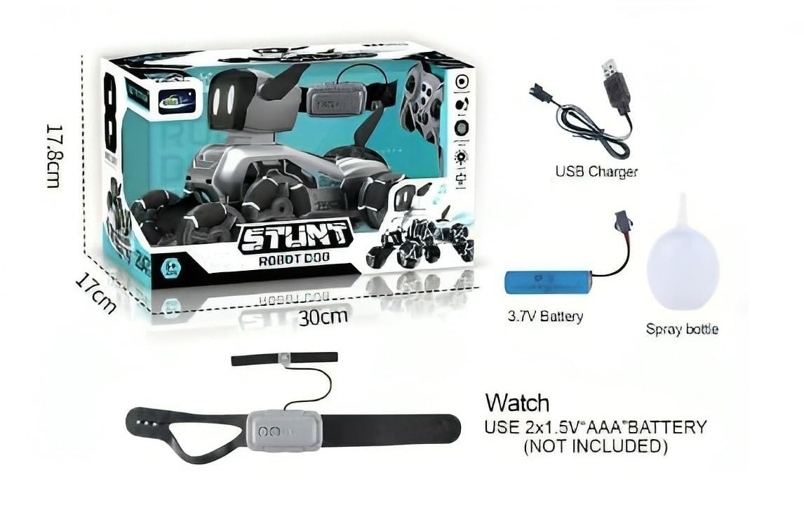 Remote Control Stunt Robot Car - XJD575-9D