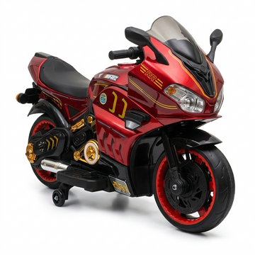 Rechargeable 2 Wheels Bike XL Size
