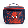 Spider Man Theme Insulated Lunch Box