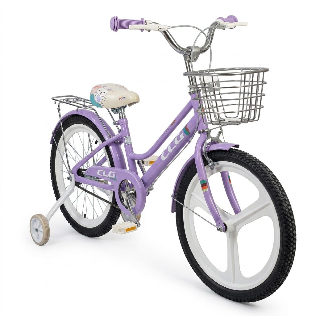 Kids Bicycle 20inches with Training Wheels - 10CCG118