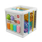6-in-1 Multi-Sensory Activity Cube - Gift for Babies 12 Months+ - 8025-1B